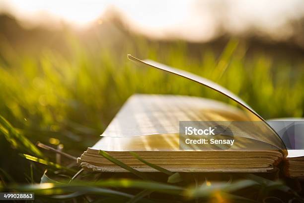 Summer Backgound With Open Book Stock Photo - Download Image Now - Book, Summer, Abstract