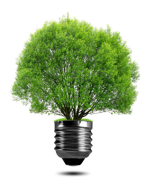 istock green tree growing out of a bulb 499029967