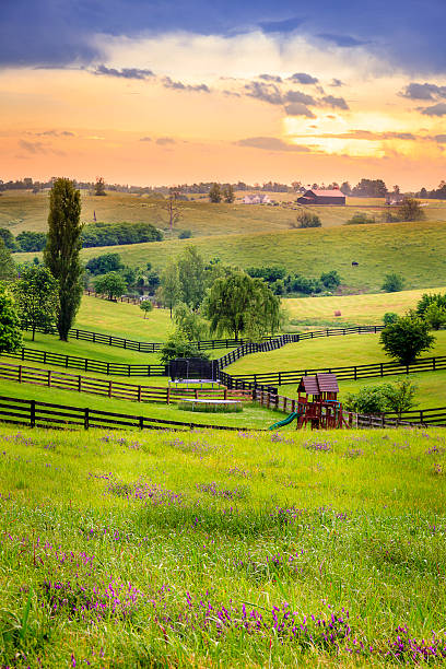 田園ケンタッキー - bluegrass ストックフォトと画像