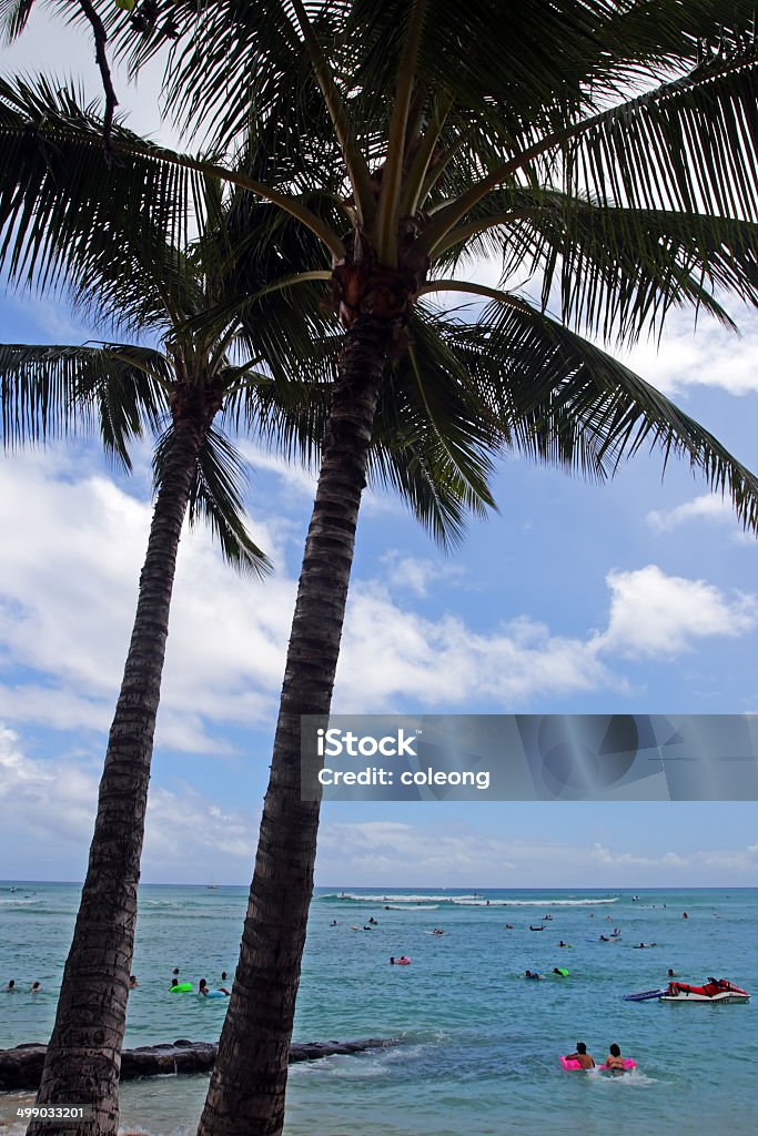 Waikiki Beach, des Honolulu, Oahu, Hawaii - Lizenzfrei Baum Stock-Foto
