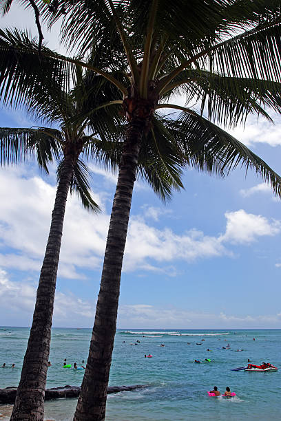 Stock image of Waikiki Beach, Honolulu, Oahu, Hawaii