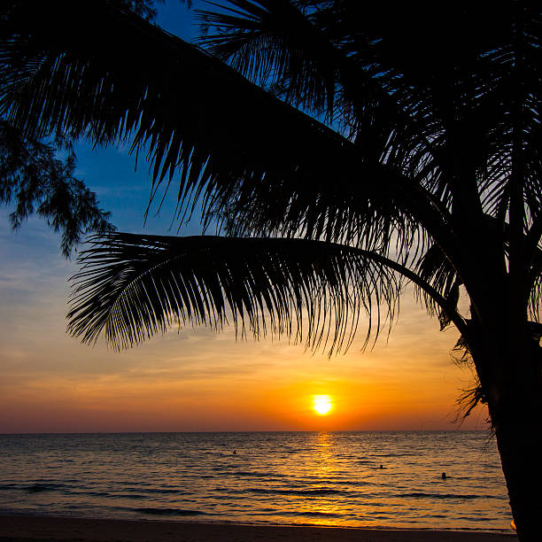 istock Beautiful sunset at a beach resort in tropics 499034171