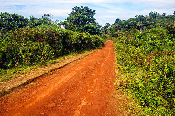istock Road on Bolaven plateau 499034183