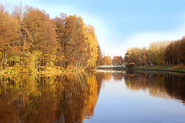 istock Beautiful autumn park. Autumn in Minsk. 499046030