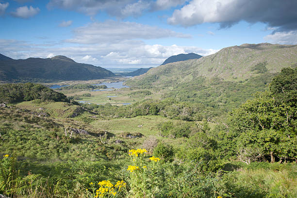 istock Ladies View, Killarney National Park 499046100