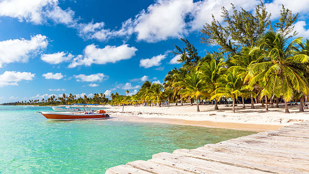 karibik strand, dominikanische republik - greater antilles stock-fotos und bilder