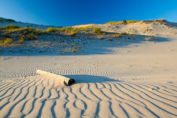 Dunes in slowinski national park