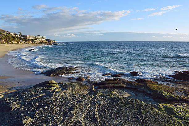istock Aliso Point, Laguna Beach, California 499050408