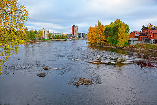 istock Colors of autumn 499051178