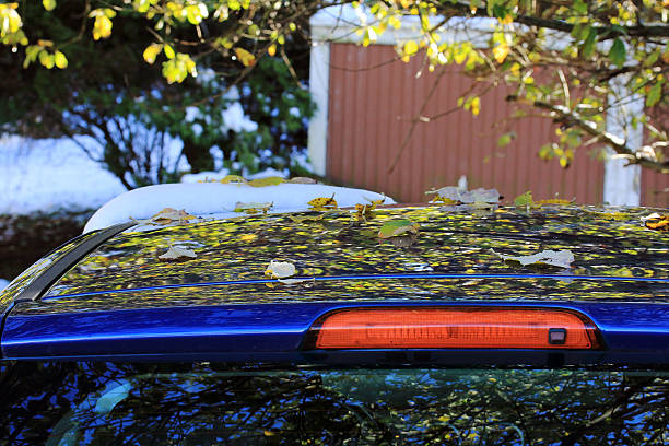 Autumn leaves and snow on a car roof. Slipping in traffic