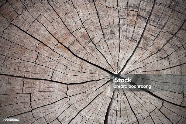 Old Tree Or Dead Wood With Back Drop Stock Photo - Download Image Now - Apple Tree, Business Finance and Industry, Chopping Food