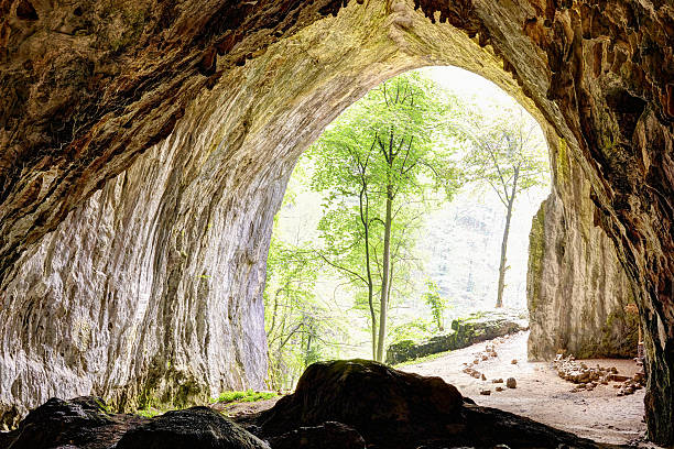 istock Inside view from Meziad cave in Apuseni mountains 499055262