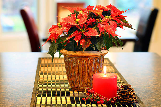 istock Poinsettia  with red candle 499055534
