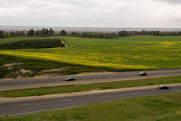 san joaquin valley no início da primavera - san joaquin valley - fotografias e filmes do acervo