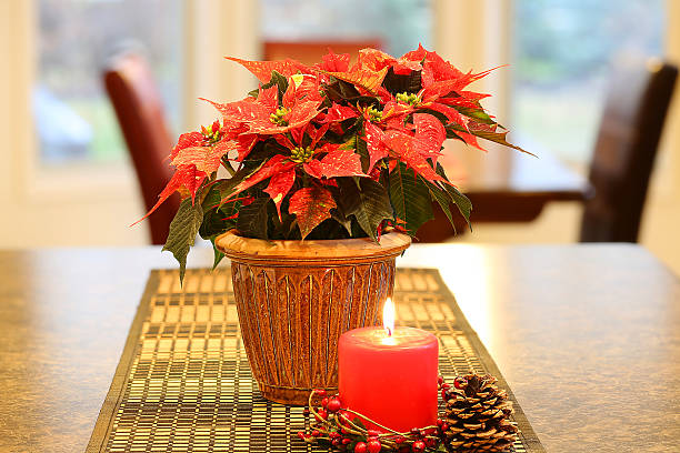 istock Poinsettia with red candle 499055742