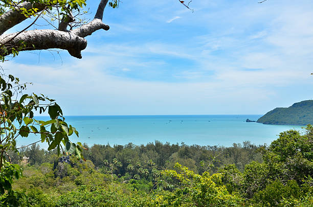 istock Beautiful sea landscape. Composition of nature. 499056305