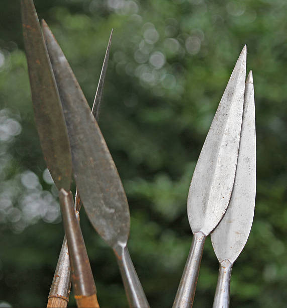 istock medieval halberds pointy-tipped wrought iron 499056353