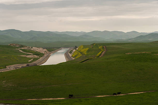 サンホアキンバレーの春 - san joaquin valley ストックフォトと画像