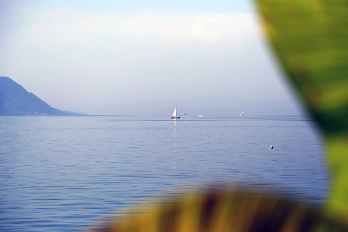 Lac Leman (Lake Geneva) near Montreux, Switzerland in summer