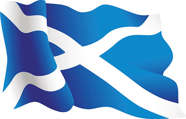 Scottish national flag Isolated illustration of the Scottish national flag, the Saltire. scottish flag stock illustrations