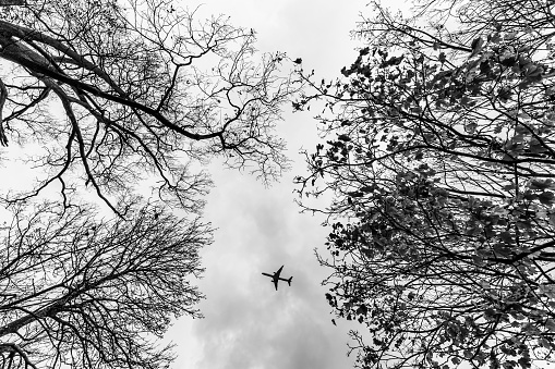 An Aircraft flying overhead. Image taken from a park during Autumn.