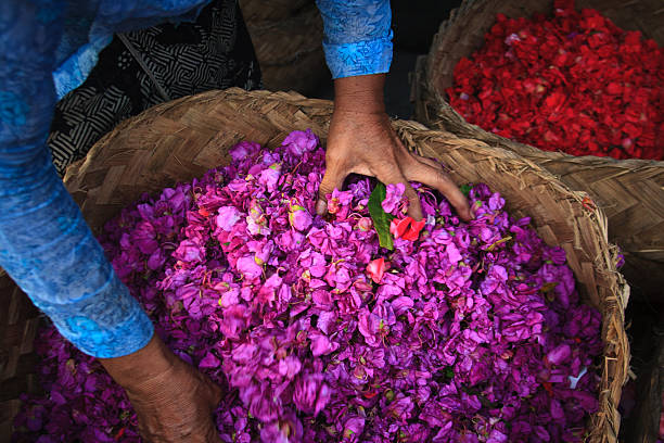 Flower Petals and Hands in an Old Wicker Basket, Bali