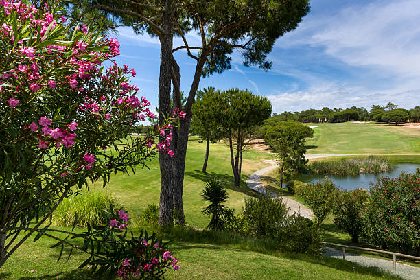 Landscape of a golf course in Vilamoura stock photo