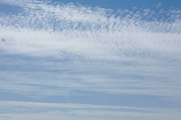 Sky - White clouds in front of a blue sky White high clouds in front of a blue sky with blurred contours, This image can be used as a background picture. conceptional stock pictures, royalty-free photos & images