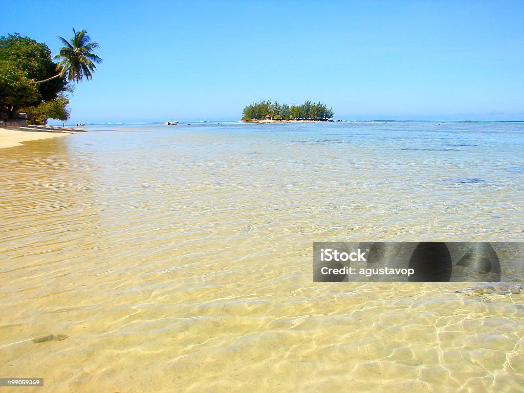 Les eaux cristallines de Moorea littoral motu, Polynésie française, Tahiti - Photo de Arbre libre de droits