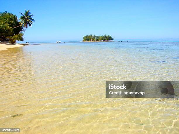 Photo libre de droit de Les Eaux Cristallines De Moorea Littoral Motu Polynésie Française Tahiti banque d'images et plus d'images libres de droit de Arbre