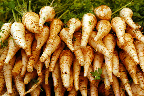 еда-овощи - parsnip vegetable food winter стоковые фото и изображения