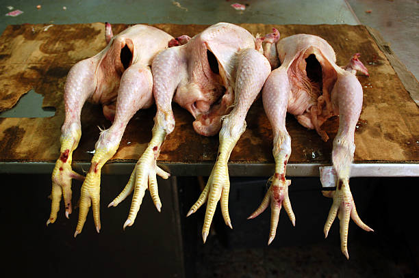 Fresh chickens on display in a botcher shop in a market, Israel.