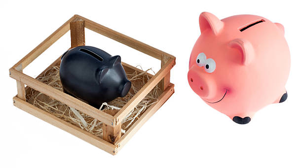 istock Piggy Bank 499062563