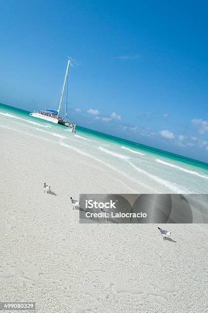 Playa Pilar Cayo Guillermo Foto de stock y más banco de imágenes de Aire libre - Aire libre, Antillas occidentales, Azul turquesa