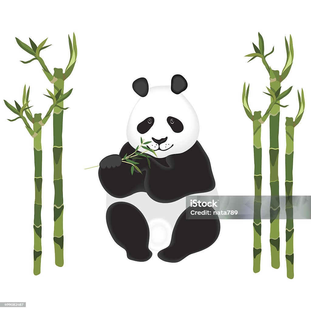 Panda with sprig of bamboo on white.  Vector illustration. Panda with a sprig of bamboo on white. Bamboo stalks. Vector illustration. Animal Body Part stock vector