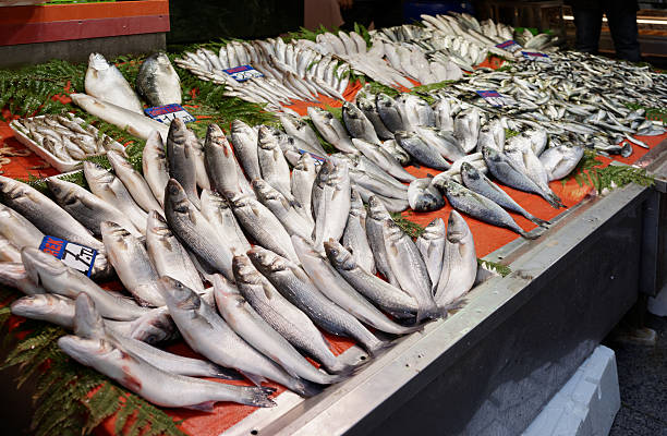 istock Street fish market in Istanbul 499083377