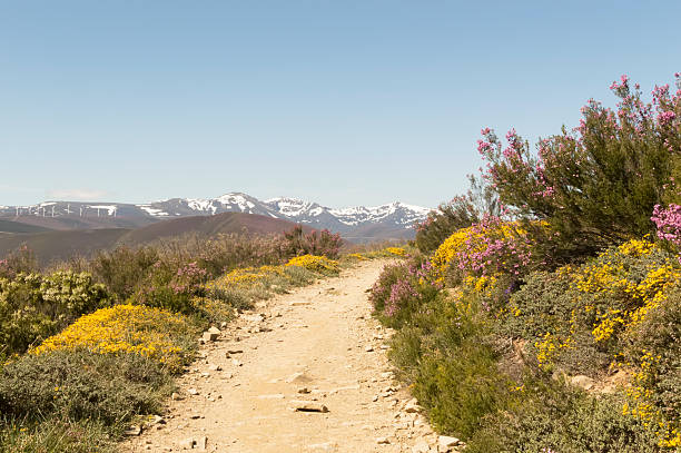 Panoramic view with Camino de Santiago mountain road