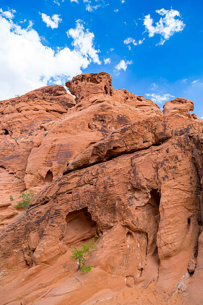 red rock krajobrazu, park stanowy valley of fire, w nevadzie, usa - cave painting prehistoric art north american tribal culture nevada zdjęcia i obrazy z banku zdjęć