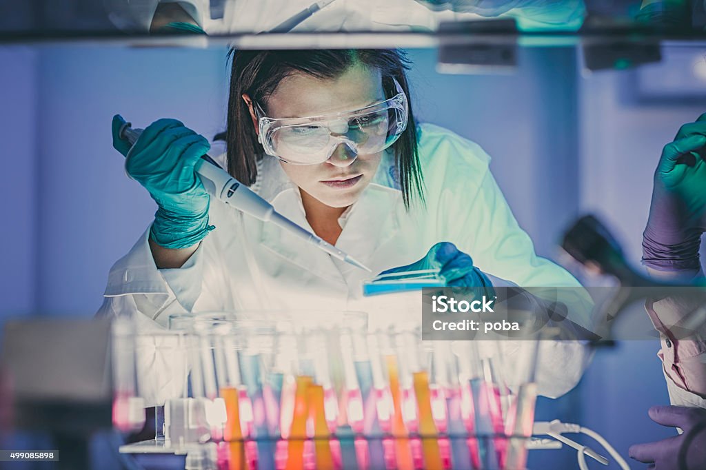 Scientist  In Laboratory scientist, doctor, asistent working at the laboratory using pipette Laboratory Stock Photo