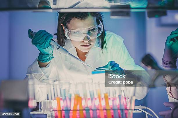 Scientist In Laboratory Stock Photo - Download Image Now - Laboratory, Scientist, Research