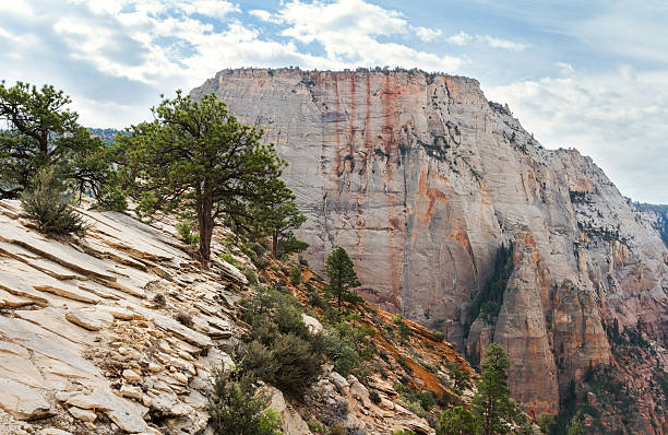 istock Summit of Angels Landing 499087364