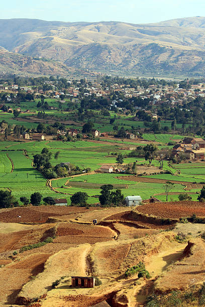 istock Madagascar: Terraced Farming Near Fiadanana 499087984