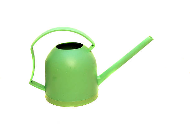 istock Light - Green watering can for houseplants 499087997