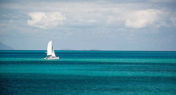 istock Sailboat in distance 499088088