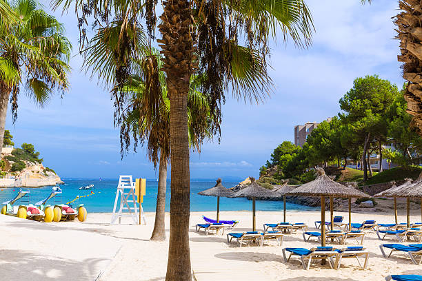 istock Mallorca Cala Vinyes Vinas beach Calvia 499089918