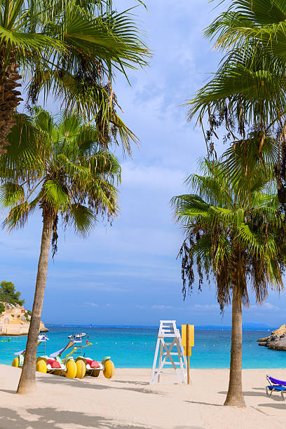 istock Mallorca Cala Vinyes Vinas beach Calvia 499090346