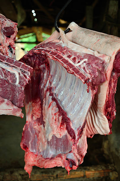 istock Traditional home made pig slauhtering 499090492