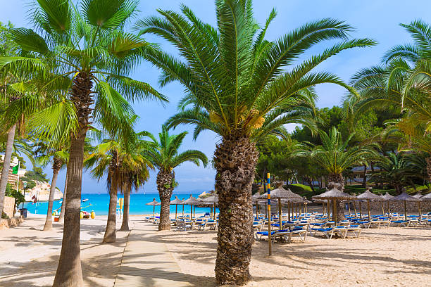 istock Mallorca Cala Vinyes Vinas beach Calvia 499090926