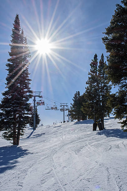 istock Sunshine and Blue Sky at a Colorado Ski Area 499091476