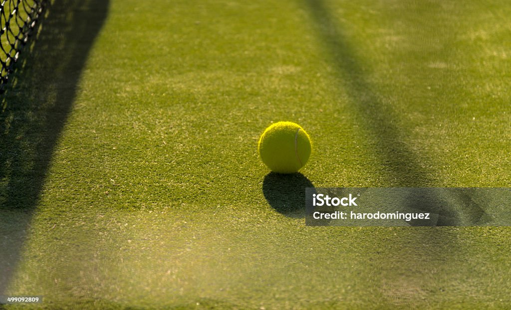 tennis ball close to the nett tennis ball close to the nett in May Active Lifestyle Stock Photo